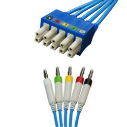 Lexor extender