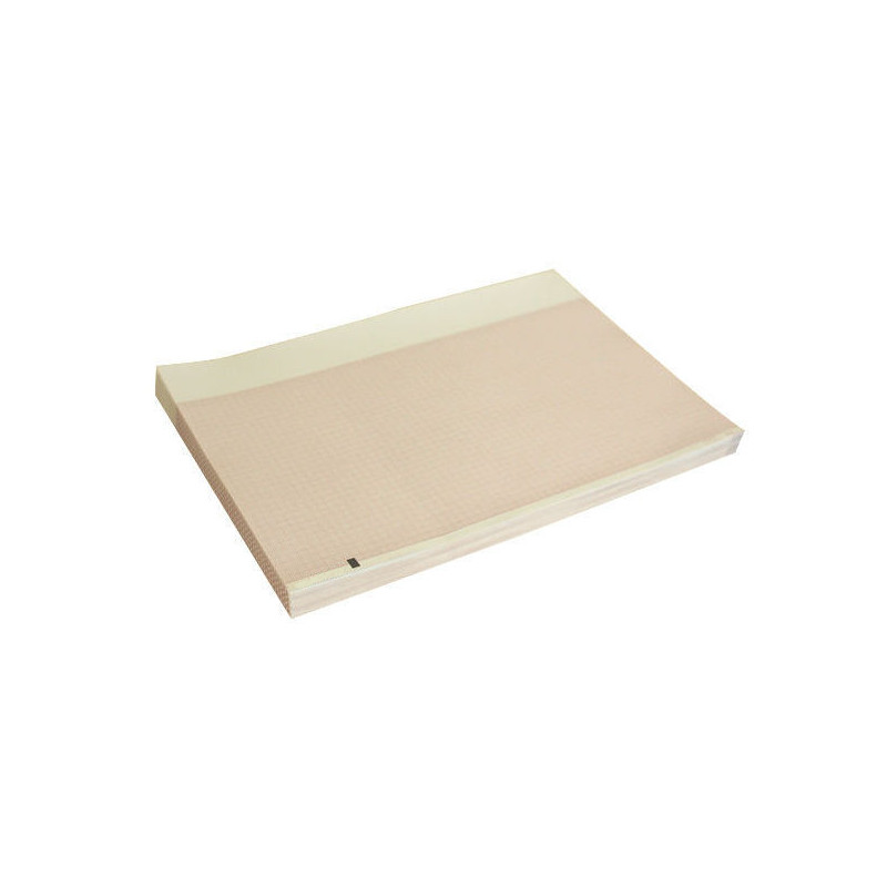 Mortara Eli 250 generic paper