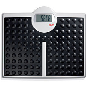 Seca Robusta 813 Electronic Scale